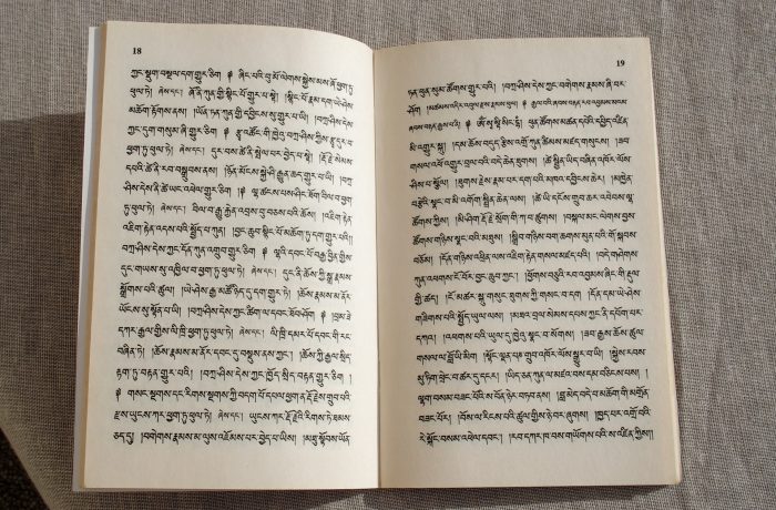Livro em Hindi Tibetano